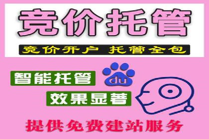 某企业sem账户托管后的业绩飞跃
